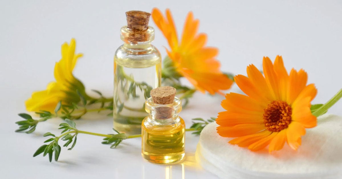 Καλεντούλα, οφέλη και ιδιότητες στον οργανισμό μας